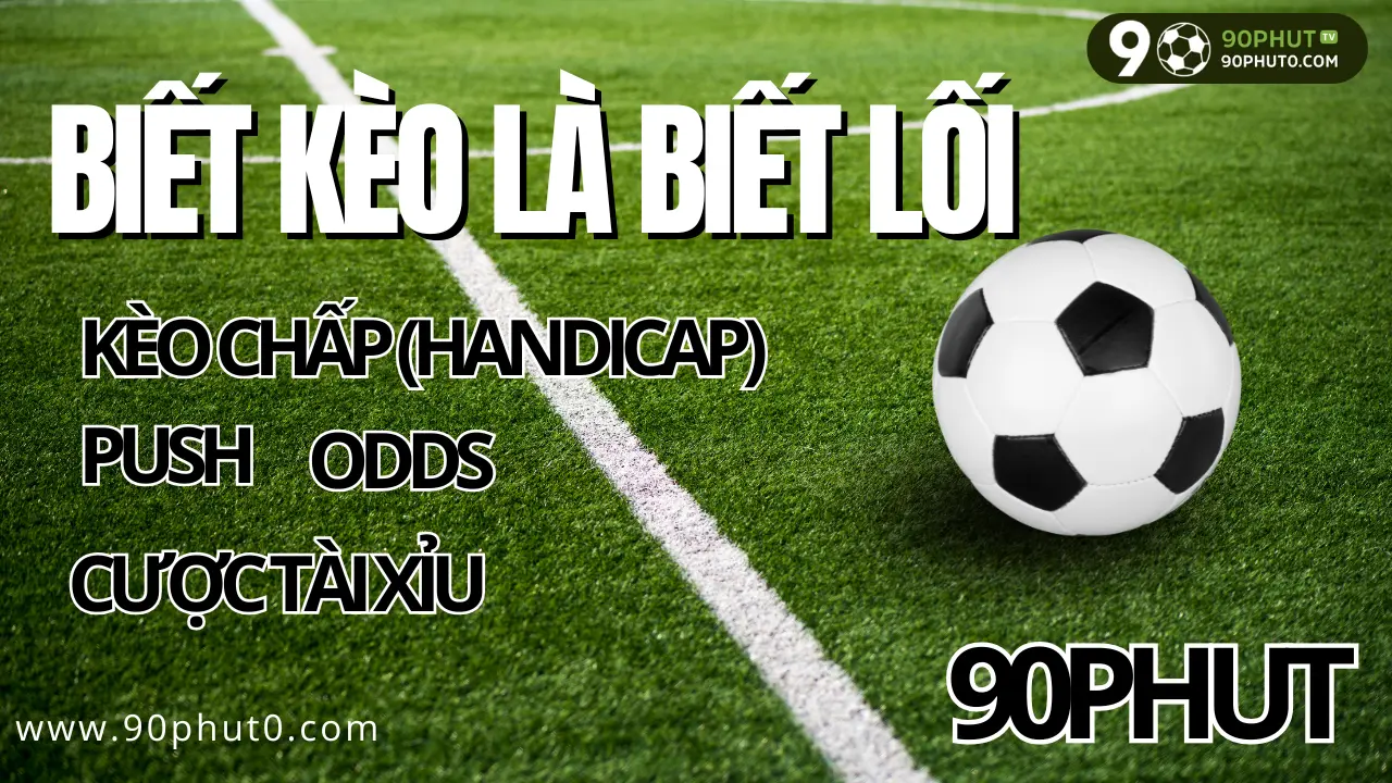 Tổng hợp các khái niệm cơ bản trong tỷ lệ kèo bóng đá giúp người chơi tránh mất tiền oan